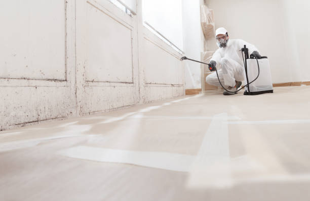 24/7 Emergency Basement Mold Remediation experts in Hamilton, GA