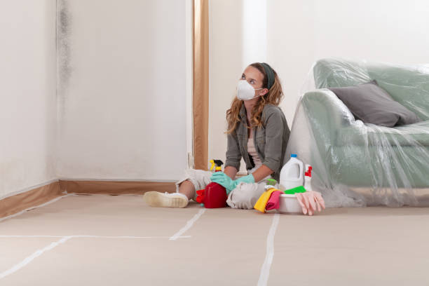 Reliable Basement Mold Remediation contractor in Hamilton, GA by 24 Hour Mold Removal